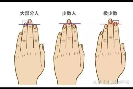 手型算命：兼型手人的性格与命运