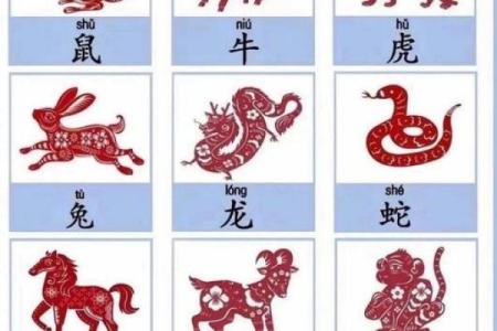 鼠老大的名字,方位六煞在哪