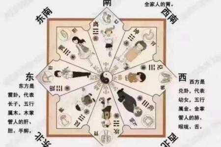 女性办公桌朝向的最佳方位在何处是东北向吗？