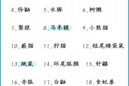 测试小鸟的名字吉凶
