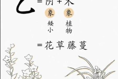 八字论乙木