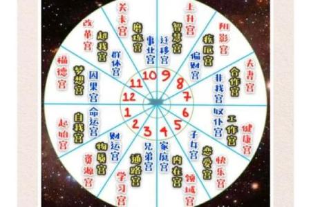 八字婚姻宫坐十二宫位置