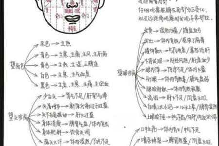 脸上胎记算命图解