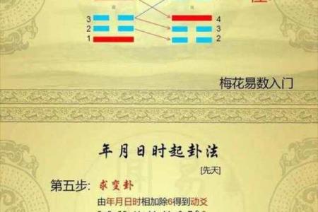梅花易数的方位怎么定