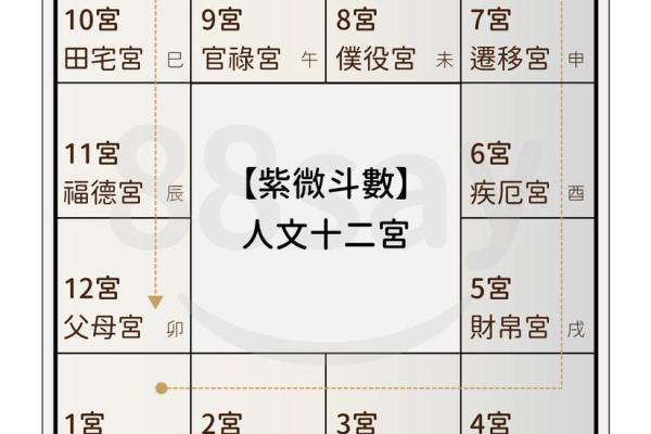 紫薇斗数命宫紫薇星