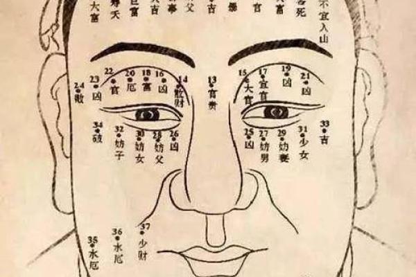 三角眉毛的面相算命图解
