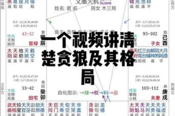 紫微斗数任务在哪接 紫微斗数引导任务？