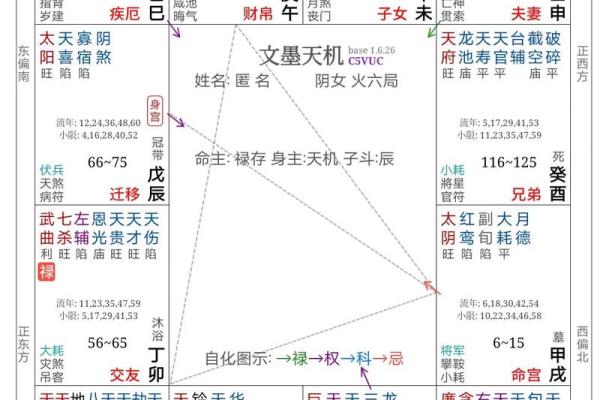 紫微斗数任务在哪接 紫微斗数引导任务？