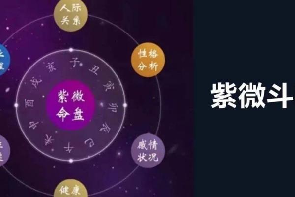 紫薇斗数的天罗地网