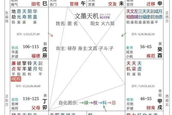 紫微斗数四化飞星在线排盘 紫薇斗数四化飞星？