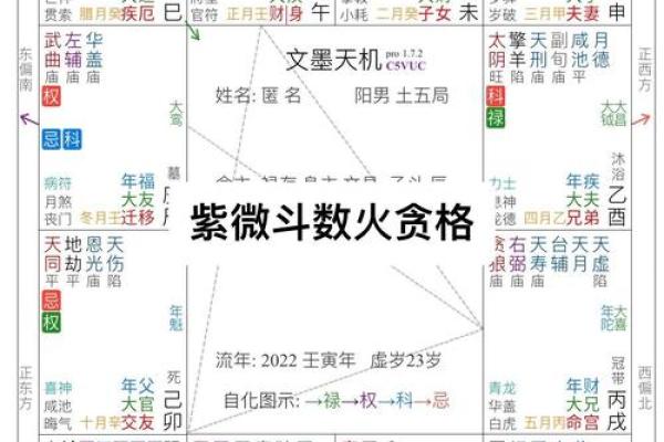紫薇斗数大运音频