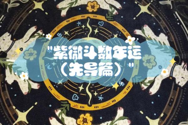 紫薇斗数大运音频