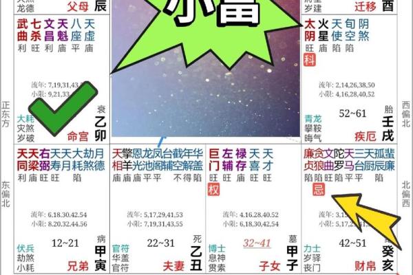 紫微斗数rumen 紫微斗数入门全书？