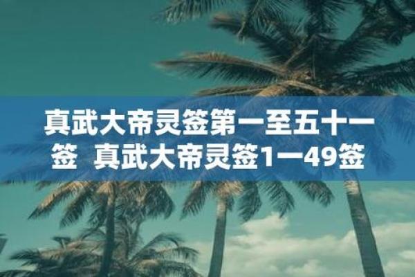 真武灵签用法教程全解