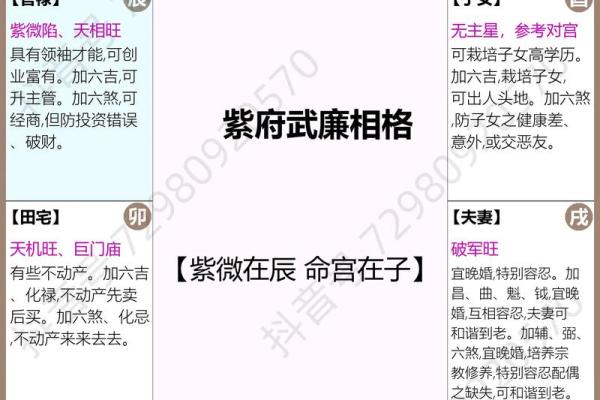 紫薇斗数天马位置不一样