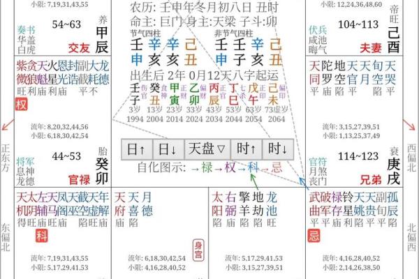 紫薇斗数照