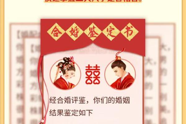 阴历生日测八字合婚
