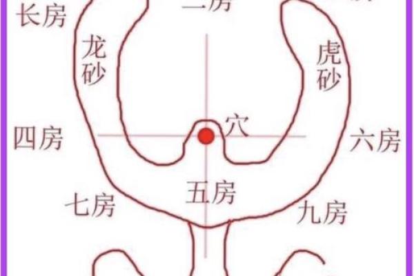 阴宅风水呼形喝象大全