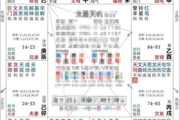 紫薇斗数全面分析的简单介绍