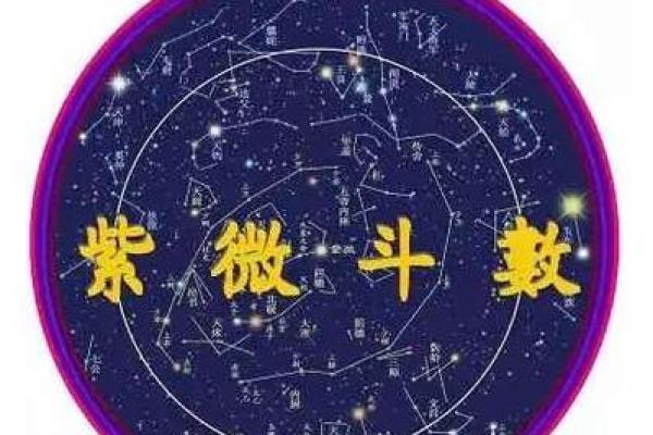 星空紫薇斗数