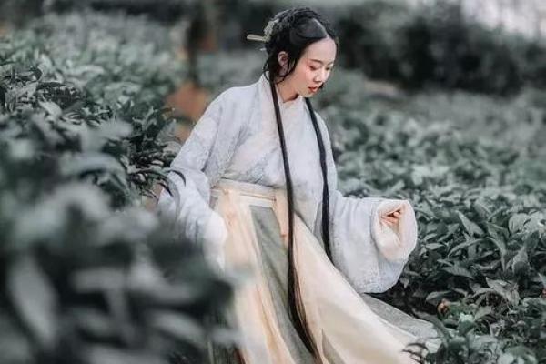 算命说桃花贵人在东北
