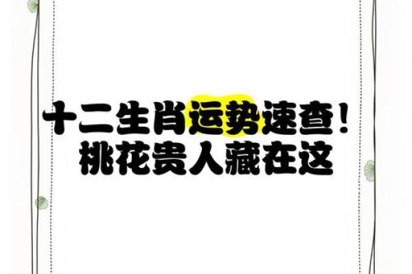 算命说桃花贵人在东北
