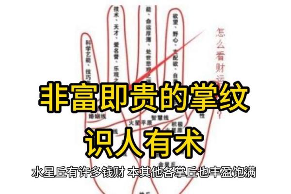 手纹算命图解 财富手纹解读