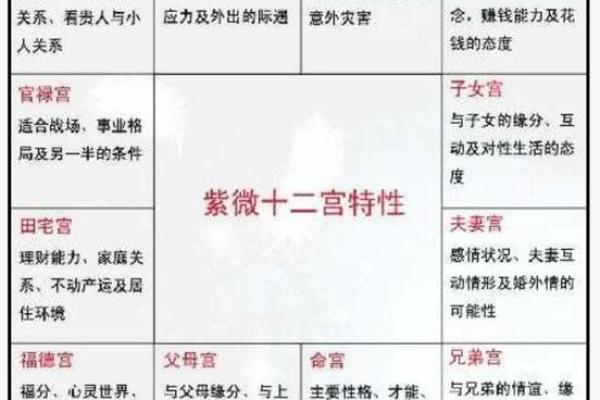 紫微斗数诸星落诸宫之:太阳星财帛宫详解 紫微斗数诸星落诸宫之:太阳星财帛宫详解