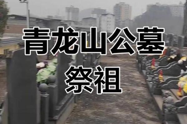 龙山陵园公墓风水怎么样