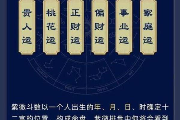 紫薇斗数文机