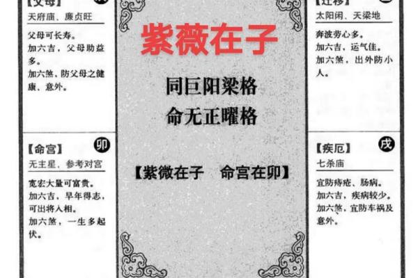 紫薇斗数书籍详解