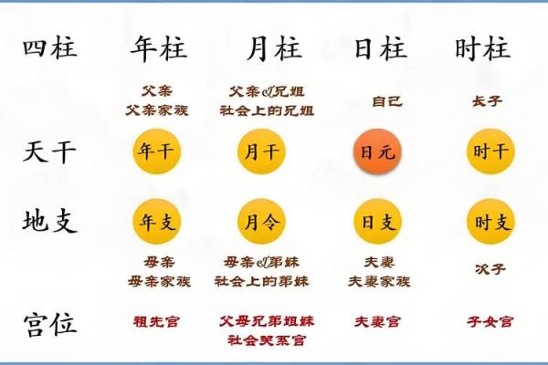 月柱长生是墓如何 八字中的墓代表什么