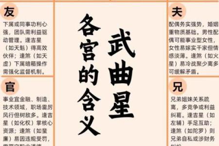 紫薇斗数会照