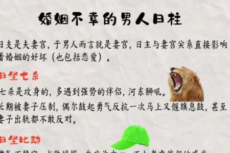 八字日柱带天喜