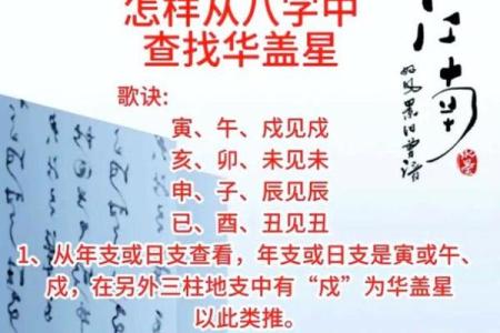 紫微斗数华盖入命宫,华盖星是什么意思
