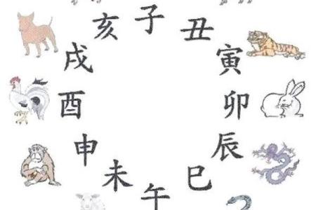 十二地支阴阳五行及方位