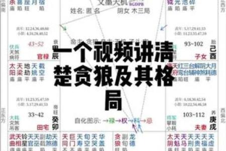 紫微斗数任务在哪接 紫微斗数引导任务？