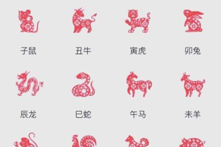 2024属羊人适合发展的方位