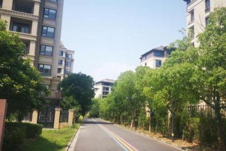 现代风水小区房屋