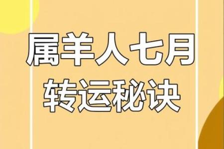 属羊的2024年11月宜提新车吉日 哪天适合买新车