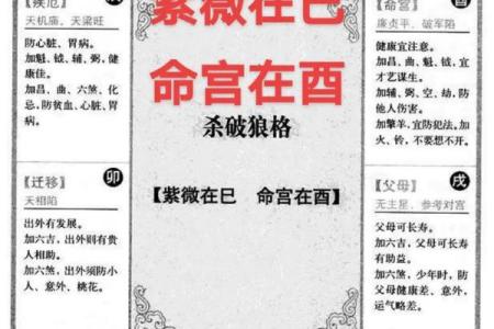 紫薇斗数照
