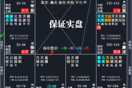 修行人的紫薇斗数