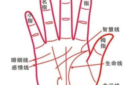 掌纹算命图解 通过手相看智慧