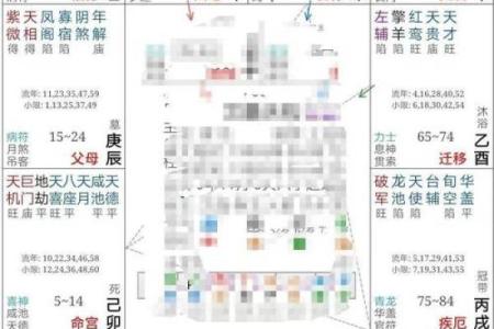 紫薇斗数命宫酉宫