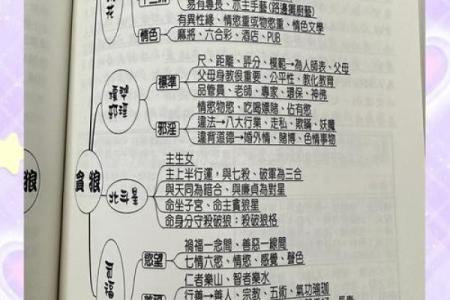 紫薇斗数全面分析的简单介绍
