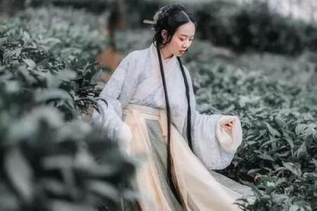 算命说桃花贵人在东北