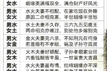 姓名测试配对