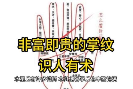 手纹算命图解 财富手纹解读