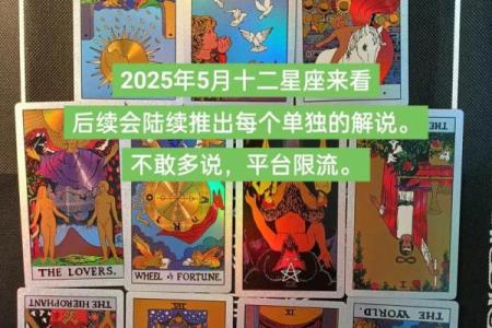 塔罗牌测试十二月学习运