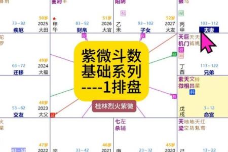 紫薇斗数北斗系列都是什么